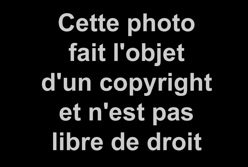 RETOUR
