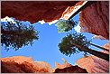 Bryce Canyon National Park - Navajo Loop Wall Street (CANON 5D + EF 24mm L F1,4)