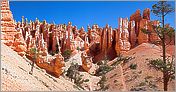 Bryce Canyon National Park - Queens Garden (CANON 5D + EF 50mm F1,4)