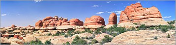 Canyonlands NP -  (The Needles) Elephant Canyon en vue panoramique  (CANON 5D + EF 50mm)