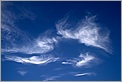Nuages Cirrus sur fond de ciel bleu (CANON 10D + EF 17-40 L)