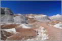 Blue Mesa -  Petrified Forest National Park (Arizona USA) CANON 5D + EF 24mm L F1,4 USM