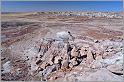 Jasper Forest -  Petrified Forest National Park (Arizona USA) CANON 5D + EF 24mm L F1,4 USM