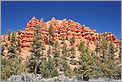 Red Canyon - Ouest USA (CANON 5D + EF 50mm F1,4)