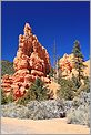 Red Canyon - Ouest USA (CANON 5D + EF 50mm F1,4)