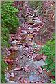 Torrent dans les gorges du Cians (CANON 10D + EF 17-40 L)