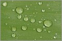 Gouttes de pluie sur une feuille de tulipe (Canon 10D + EF 100 macro + flash MT24 EX)