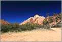 Zion National Park - Utah USA (CANON 5D +EF 24mm L)